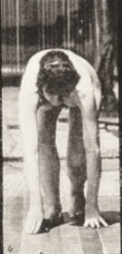 Plate 184 Walking on hands and feet — figure reference